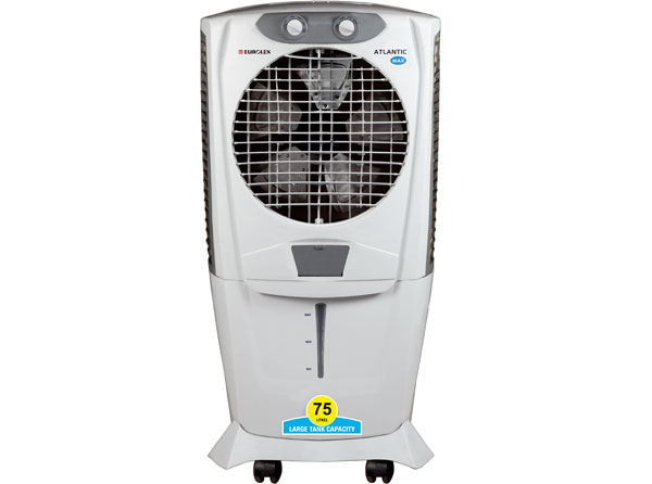 Atlantic Max (DC 1575 M)